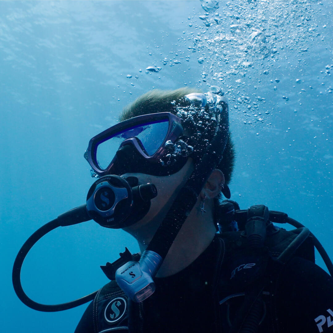 与鲨共舞 - PADI